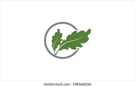 Acron oak leaf logo illustration vector icon  design illustration symbol