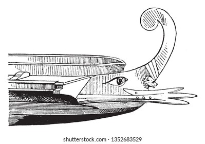 Acrostolium ist der Heck eines Schiffes auch der Turnwal eines Schiffes, die Extremität eines Schiffes Schnabel, Vintage-Linie Zeichnung oder Gravitation Illustration.