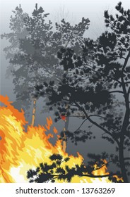 Act of nature. A fire in a wood.