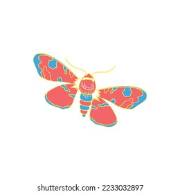 Actia Caja butterfly vector template with white background