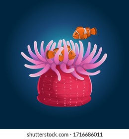 Actinia with clownfish, anemone. Vector illustration of coral reef in cartoon style.