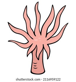 Actinia. Sea anemone. Sea animal in the form of a flower. Aquatic invertebrate animal. Vector illustration. Coral polyp. Cartoon style. Outline on isolated background. Ocean dweller. 