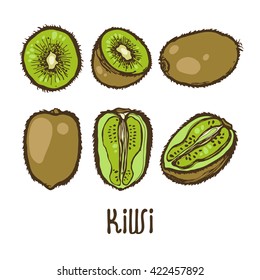 Actinidia chinensis. Kiwi. Collection of fruits. Set. Fruits isolated on white background. Hand drawn. 