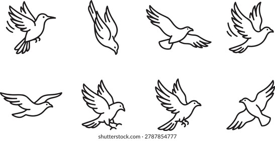 Action sequence of a bird taking flight and soaring
