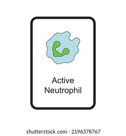 Active Neutrophil Cellular Schematic Structure Vector Illustration, Eps10 Icon