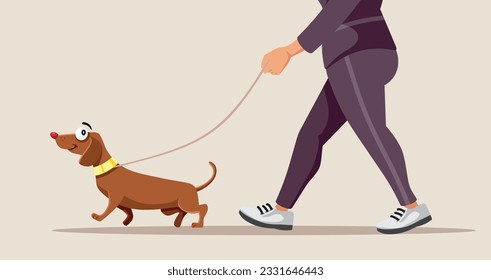 
Persona activa caminando por el perro en una ilustración de un vector de erupción. Dueña de una mascota sacando a su perro a dar un paseo
