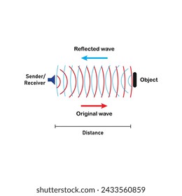 Active sonar transducers emit an acoustic signal or pulse of sound into the water. If an object is in the path of the sound pulse, the sound bounces off the object and returns an “echo” to the sonar