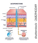 Acupuncture diagram shows needle insertion, meridian path, and skin layers, illustrating traditional and biomedical views. Outline diagram