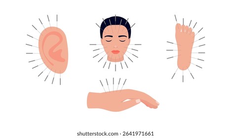 Acupuncture, part of body set with medical needles. Alternative medicine. Body therapy and spa, wellness and acupressure. Vector illustration