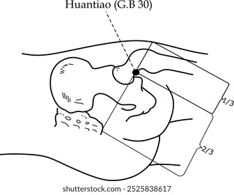 Ponto de acupuntura G.B. 30, também conhecido como Huantiao
