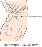 Acupuncture point G.B.26 that is also known as Daimai