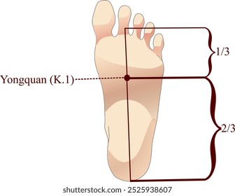 Acupuncture point K.1 that is also known as Yongquan