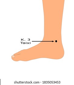 Acupuncture point kidney 3 (K. 3) that is also known as Taixi 