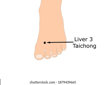 Acupuncture point Liver 3 that is also known as Taichong