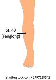Acupuncture point St. 40 that is also known as Fenglong 