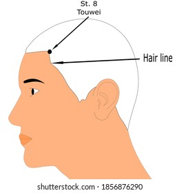 Acupuncture point Stomach 8 or St. 8 that is also known as Touwei