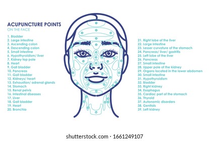 Acupuncture points on the face. Young woman face. Vector trendy line illustration for your design