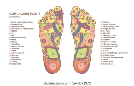 Acupuncture points on the feet. Reflex zones on the feet. Chinese medicine. Vector illustration for your design