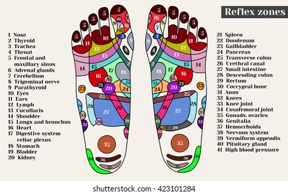 Foot Reflex Charts And Remedy Points