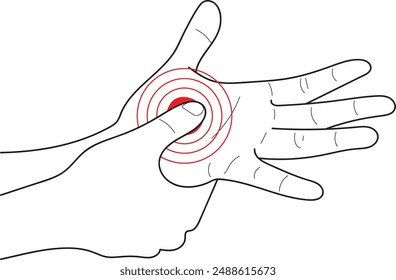Acupuncture points on hand, Human anatomy
