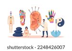 Acupuncture therapy, chinese traditional alternative medicine for disease prevention. Reflex zones of ear, feet, palm hand. Stress relief, healing process. Acupuncturist holding needle for injection