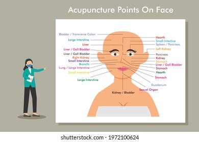 Acupuncture vector concept. Female acupuncturist explaining acupuncture points on face