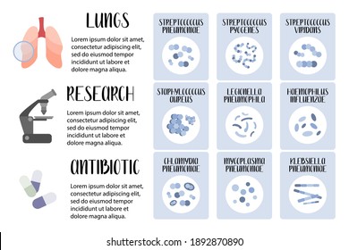 Infecciones agudas de las vías respiratorias. Bacterias patógenas (cocos, bacilos). Streptococcus, Staphylococcus, Legionella, Klebsiella. Morfología. Microbiología. Ilustración plana vectorial, para volante médico