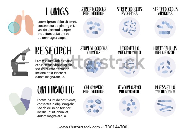 Acute\
respiratory tract infections. Pathogenic bacteria (cocci, bacilli).\
Morphology. Microbiology. Vector flat\
illustration