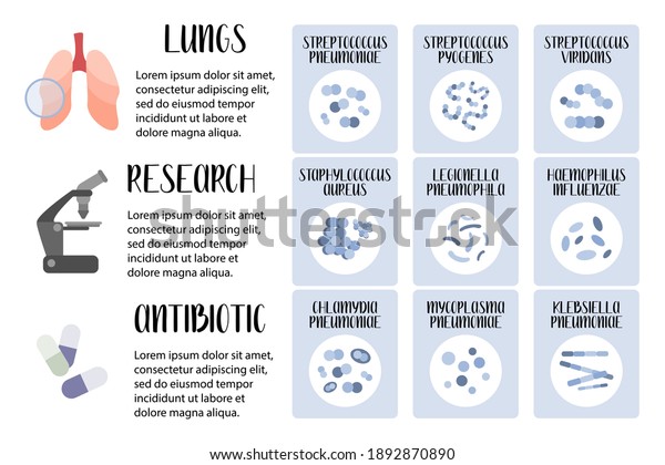 Acute respiratory tract infections. Pathogenic\
bacteria (cocci, bacilli). Streptococcus, Staphylococcus,\
Legionella, Klebsiella. Morphology. Microbiology. Vector flat\
illustration, for medical \
flyer