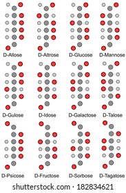 Acyclic basic structural formulas of monosaccharides (hexoses). 2D Isolated illustration