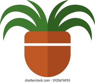 Adams Needle Plant In A Pot, Illustration, Vector On White Background.