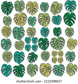 Adam's rib leaves or monstera leaves pattern. Set of Palm Leaf. Vector design for fashion print and backgrounds.