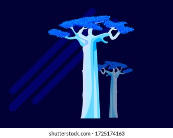 Adansonia Baobab tree midnight scene Flat Vector illustration