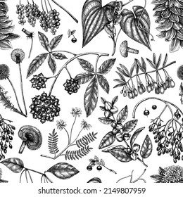 Adaptogenic plants background. Hand-sketched medicinal herbs, weeds, berries, leaves seamless pattern. Perfect for brands, label, packaging. Hand sketched adaptogens outlines. Botanical illustrations.