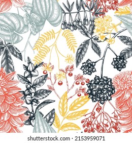 Plantas adaptogénicas sin fisuras. Hierbas medicinales esbozadas a mano, maleza, bayas, hojas de fondo vectorial. Perfecto para etiquetas, embalajes, papel envasado, tela. Ilustración botánica en color