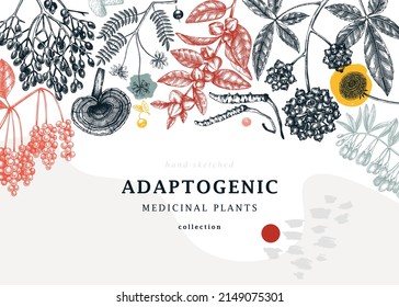 Plantas adaptogénicas de fondo a la moda en estilo de collage. Hierbas medicinales esbozadas a mano, maleza, bayas, hojas diseño de pancartas. Adaptogens esbozados a mano perfectos para marcas, etiquetas y empaques.