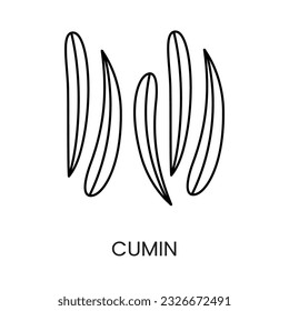 Add elegance to your projects with the Cumin Line Vector Icon, a visually appealing representation that brings a touch of spice and tradition to your designs.