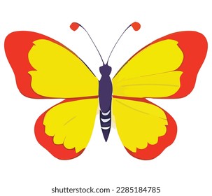 Add a pop of color to your project with this stunning colorful butterfly vector art. Perfect for nature-themed designs, coloring books, and more. High-quality and easily editable. Get yours now