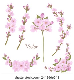 Add a touch of spring with these cute watercolor cherry blossoms! Perfect for invitations, cards, and more.