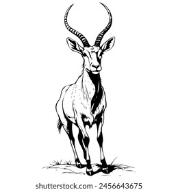 Addax jumps drawing, animal head, line art black realistic sketches painting