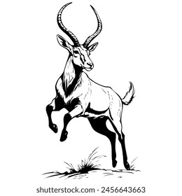Addax jumps vector hand drawn animal illustration, transparent background