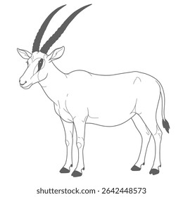 Addax – Addax nasomaculatus. A majestic antelope with large curved horns, illustrated in a detailed sketch standing in a grassy field. The drawing captures the animal's graceful stance and natural