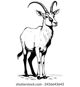 Addax standing sideways drawing, black silhouette animal vector, isolated animal