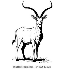 Addax standing sideways drawing, vintage animal  illustration, vector image