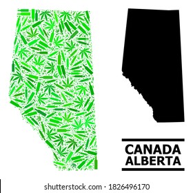 Addiction mosaic and solid map of Alberta Province. Vector map of Alberta Province is designed from random vaccine symbols, cannabis leaves and drink bottles.