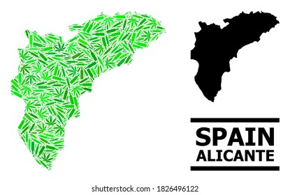 Sucht mosaik und solide Karte der Provinz Alicante. Die Vektorkarte der Provinz Alicante besteht aus zufälligen Impfstoffsymbolen, Süchtigen- und Alkoholflaschen.