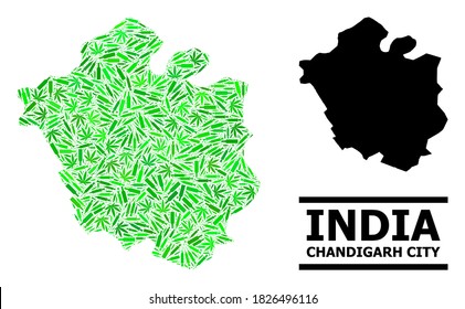 Addiction mosaic and solid map of Chandigarh City. Vector map of Chandigarh City is organized from random syringes, cannabis leaves and alcoholic bottles.