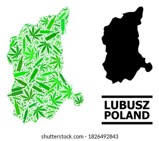 Addiction mosaic and solid map of Lubusz Province. Vector map of Lubusz Province is done of random injection needles, cannabis and alcoholic bottles.