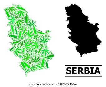 Mosaico de adicción y mapa sólido de Serbia. El mapa vectorial de Serbia está organizado con jeringas dispersas, cáñamo y botellas de bebida. Resumen del esquema territorial en colores verdes para el mapa de Serbia.