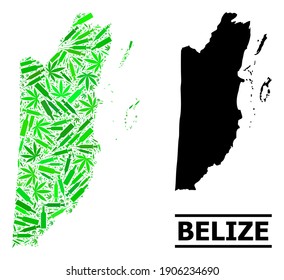 Sucht Mosaik und übliche Karte von Belize. Die Vektorkarte von Belize besteht aus randomisierten Impfstoffdosen, Marihuana und Getränkedosen. Abstrakter Gebietsplan in grünen Farben für die Karte von Belize.